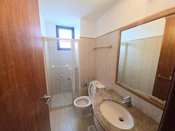 Tanglin View (D3), Condominium #566811121